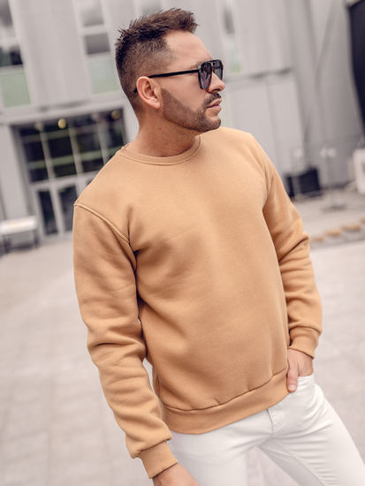 Καφέ χοντρή ανδρική μπλούζα χωρίς κουκούλα Bolf 2001A
